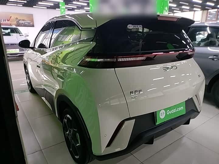 BYD Seagull 2025 2025款 305km 自由版