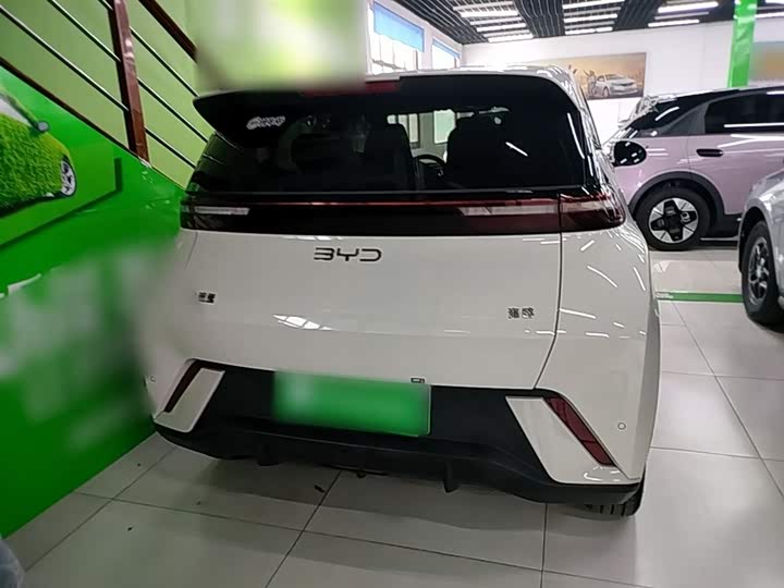 BYD Seagull 2025 2025款 305km 自由版