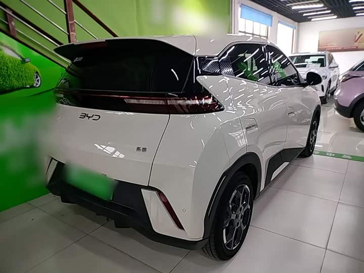 BYD Seagull 2025 2025款 305km 自由版