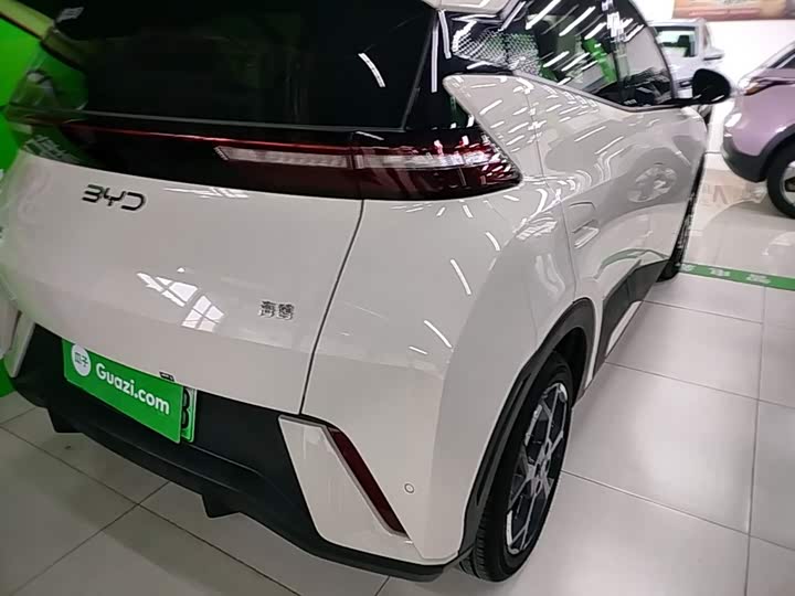 BYD Seagull 2025 2025款 305km 自由版