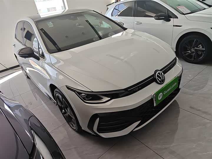 Volkswagen Golf 2026 2026款 300TSI R-Line