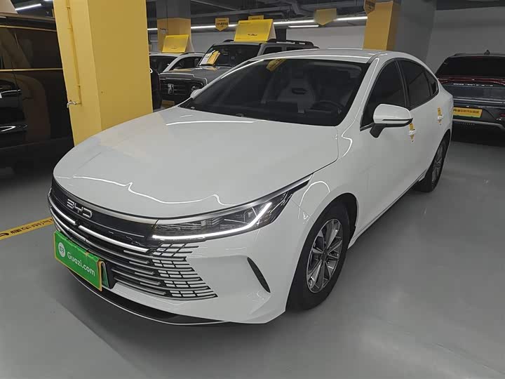 Фото 2 - BYD Destroyer 05