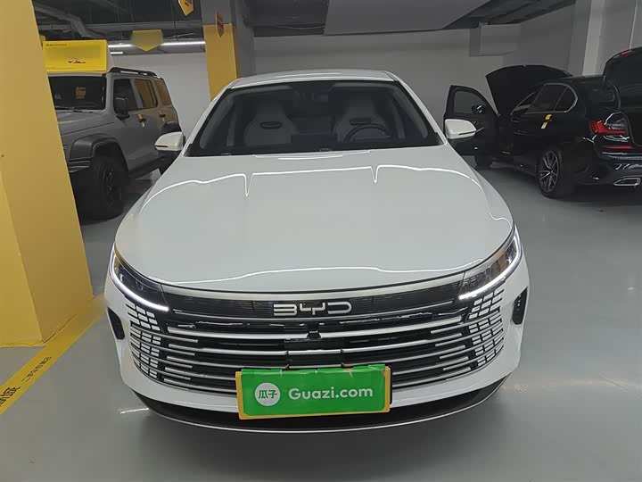 Фото 3 - BYD Destroyer 05