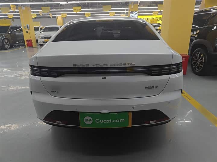 Фото 6 - BYD Destroyer 05