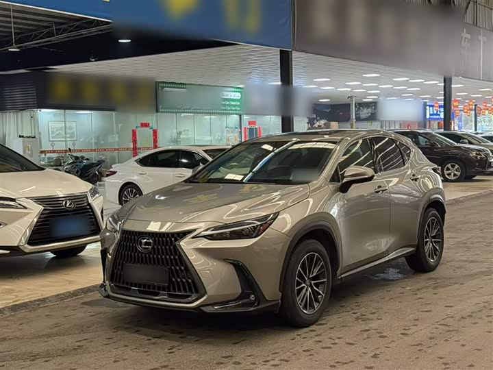 Lexus NX 2023 2023款 260 前驱 创悦版