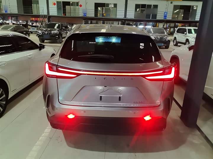 Lexus NX 2023 2023款 260 前驱 创悦版