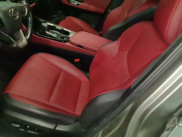 Lexus NX 2023 2023款 260 前驱 创悦版