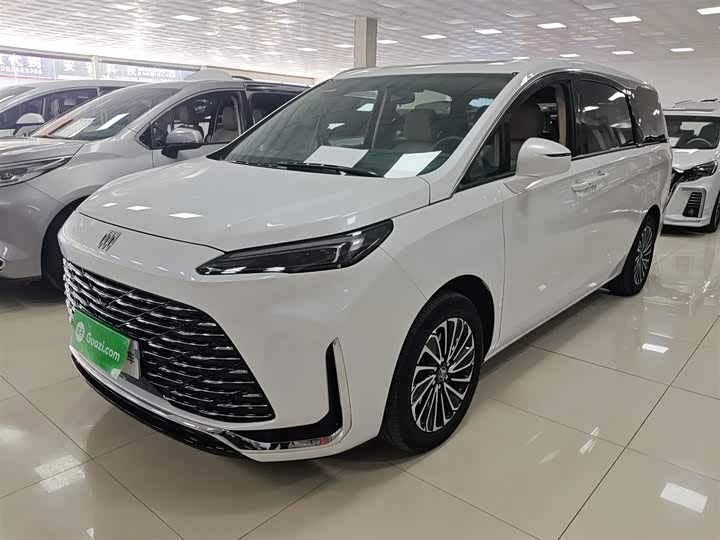 Buick GL8 Hybrid 2025 2025款 陆尚 先享版