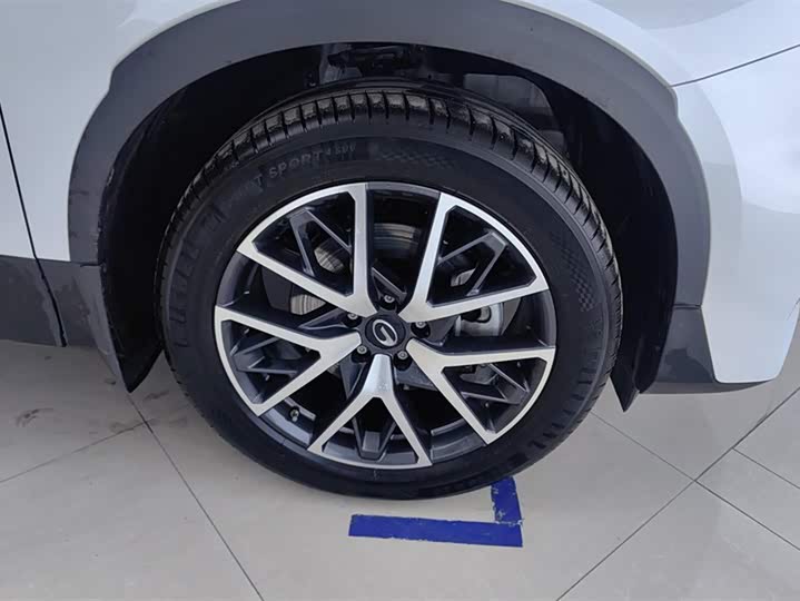 GAC Trumpchi GS8 2024 2024款 领航系列 2.0TGDI 两驱豪华智联版 7座