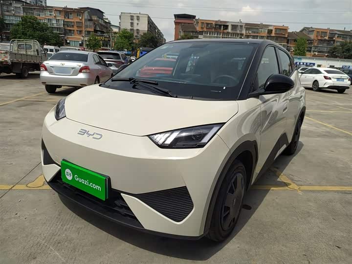BYD Seagull 2025 2025款 智驾版 305km 活力版