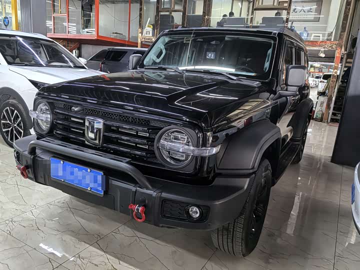2025 Tank 300