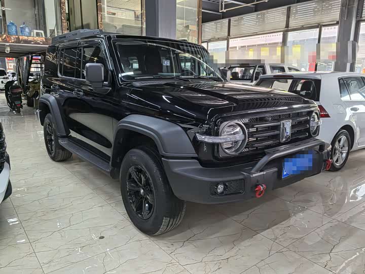 2025 Tank 300