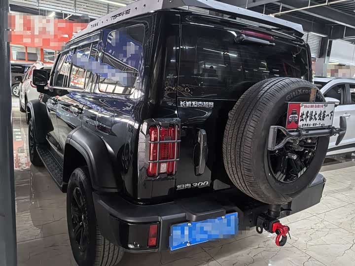 2025 Tank 300