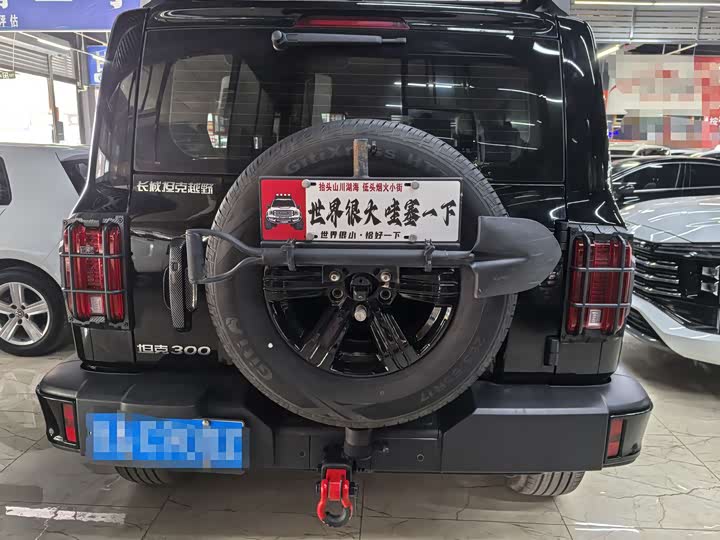 2025 Tank 300