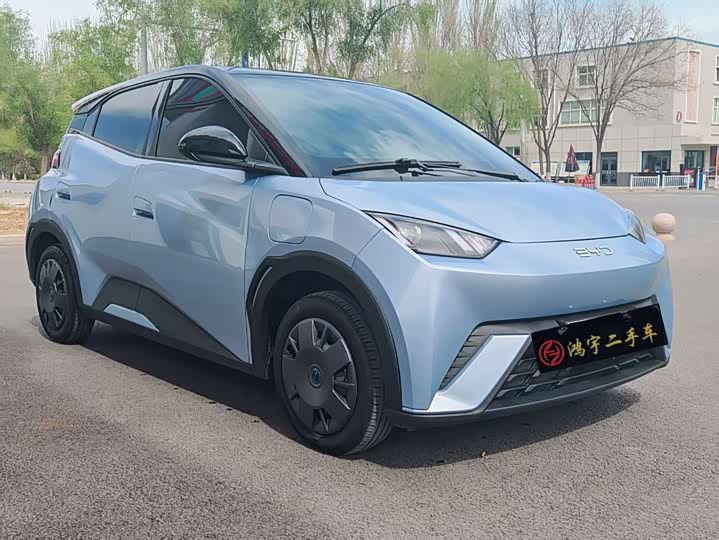 BYD Seagull 2025 2025款 305km 活力版