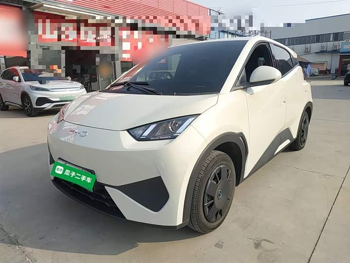 Фото 2 - BYD Seagull
