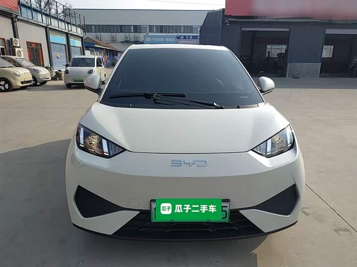 Фото 3 - BYD Seagull