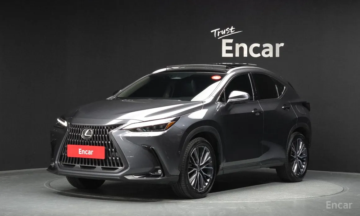 2022 Lexus NX