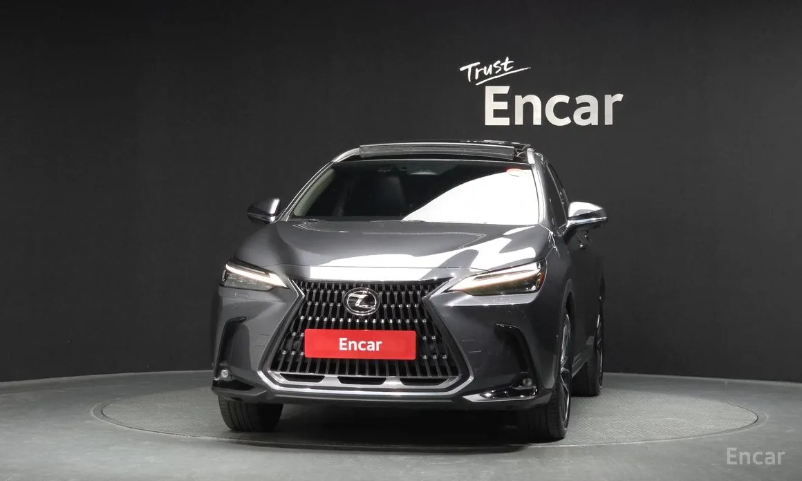 2022 Lexus NX