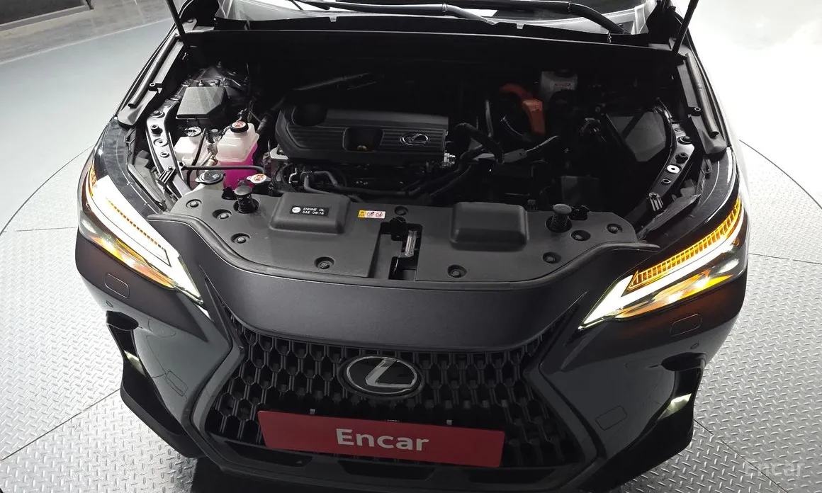 Lexus NX 2022 Luxury