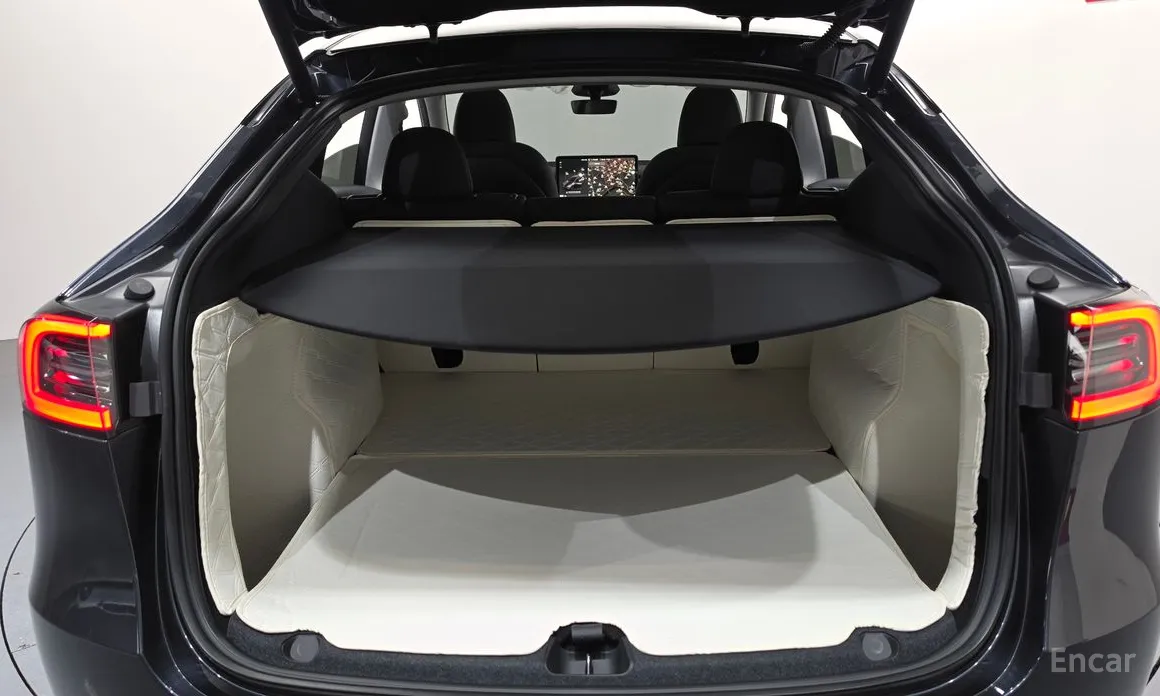 Tesla Model Y 2020 RWD