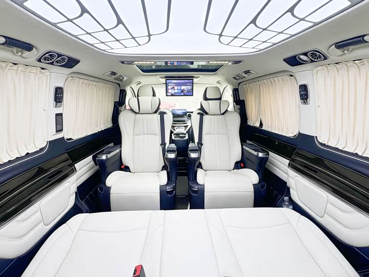 Mercedes-Benz V-Class 2022 2022款 V 260 领航版
