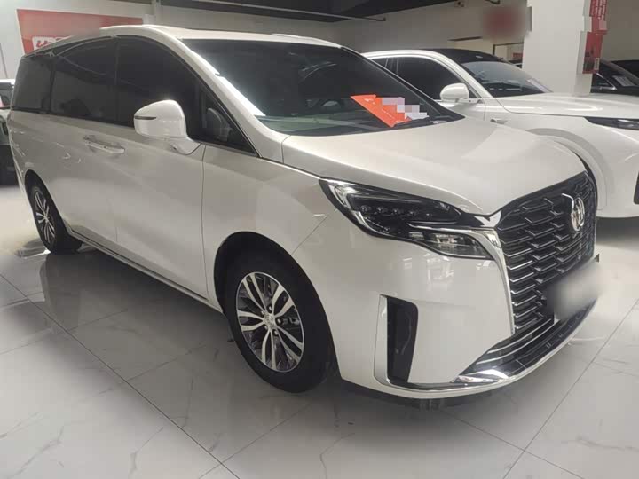 Zdjęcie 4 - Buick GL8 ES