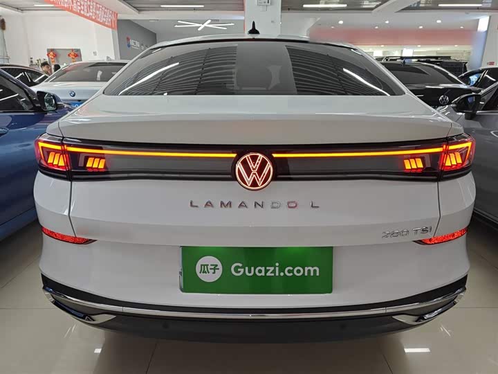 Фото 4 - Volkswagen Lamando L