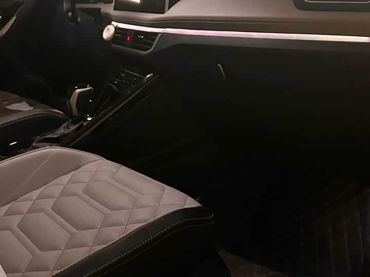 Volkswagen Tayron 2024 2024款 300TSI 两驱豪华Plus进阶版