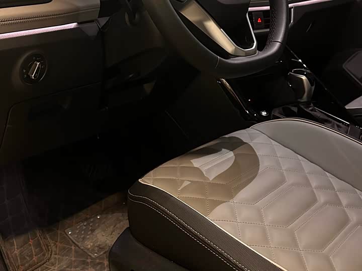 Volkswagen Tayron 2024 2024款 300TSI 两驱豪华Plus进阶版