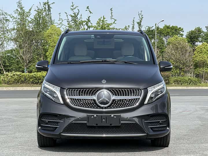 Mercedes-Benz V-Class 2022 2022款 V 260 L 长轴距豪华版