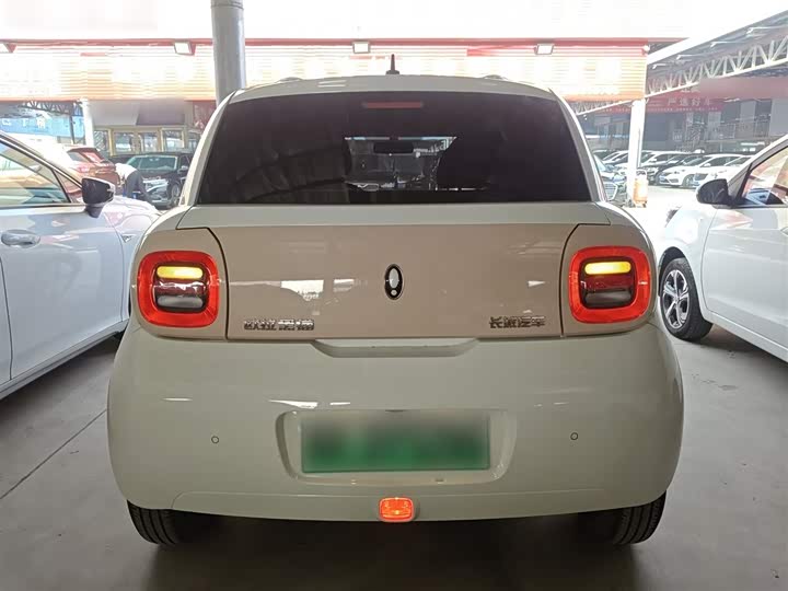 Ora Black Cat 2022 2022款 301km 基础型 三元锂