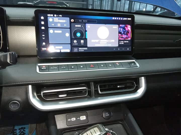 Great Wall Pao 2023 2023款 2.0T乘用版自动柴油两驱舒适型GW4D20M