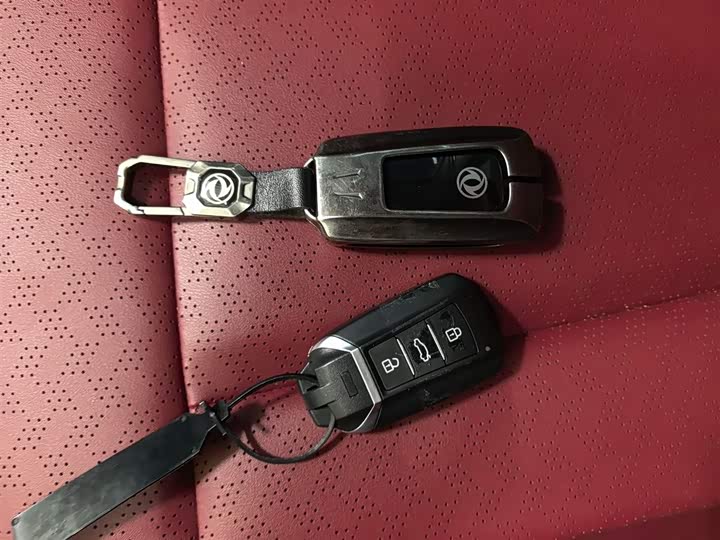 Dongfeng Aeolus AX7 2023 2023款 马赫版 1.5T DCT 冠军传奇版