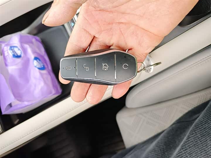 BYD Yuan Up 2024 2024款 401KM 领先型