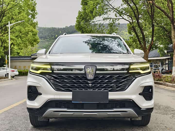 Roewe RX5 Max 2019 2019款 300TGI 自动4G互联豪华版