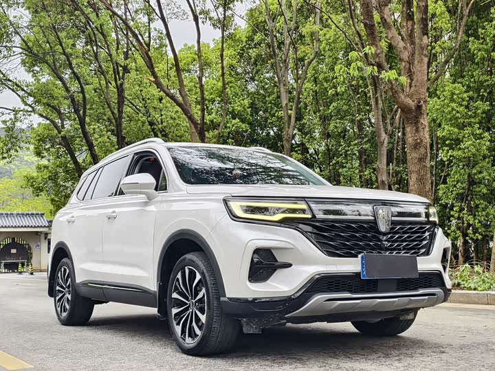 Roewe RX5 Max 2019 2019款 300TGI 自动4G互联豪华版