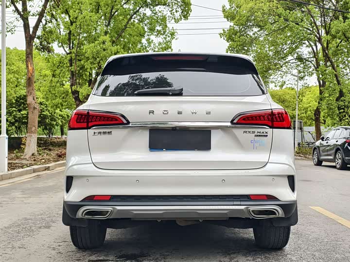 Roewe RX5 Max 2019 2019款 300TGI 自动4G互联豪华版