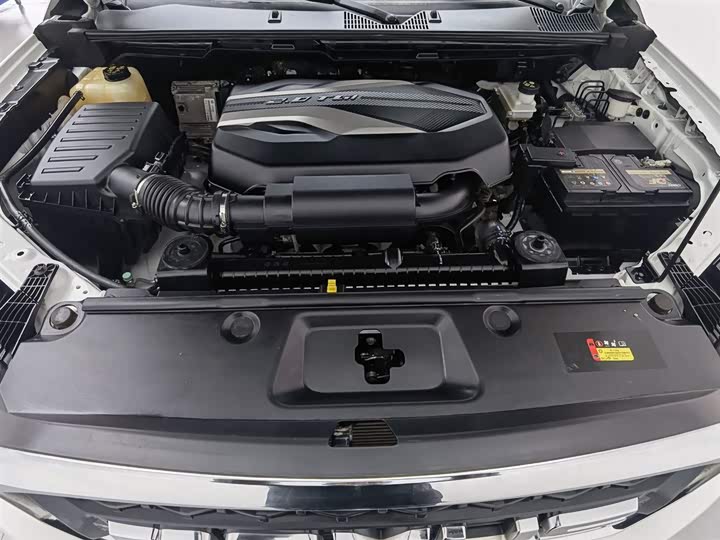 Maxus T70 2020 2020款 2.0T汽油手动两驱精英型标箱高底盘