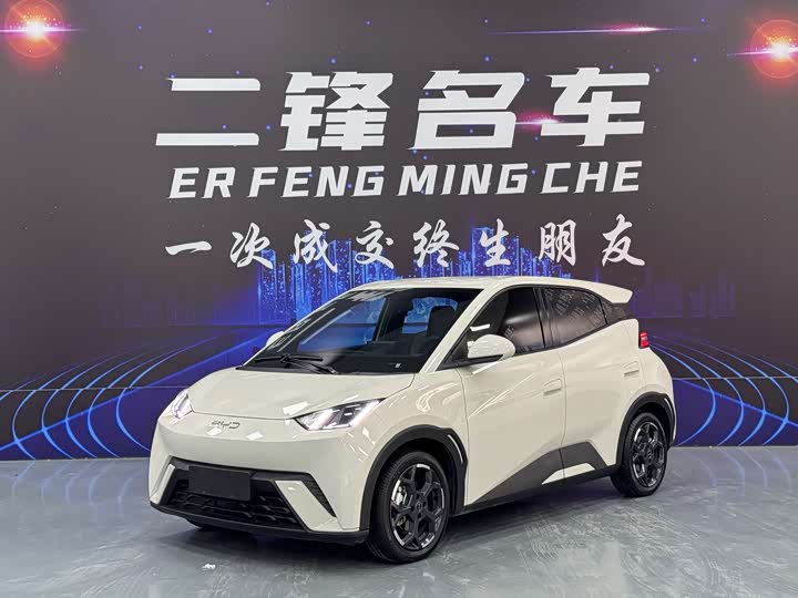 BYD Seagull 2025 2025款 305km 自由版
