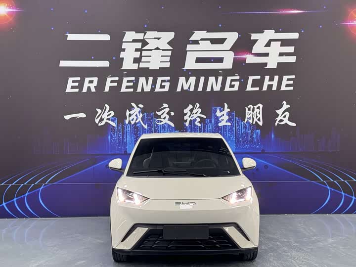 BYD Seagull 2025 2025款 305km 自由版