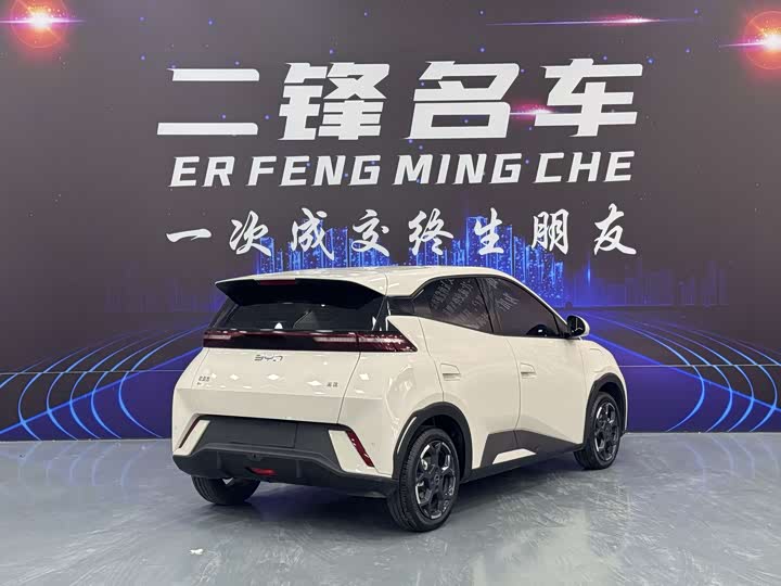 BYD Seagull 2025 2025款 305km 自由版