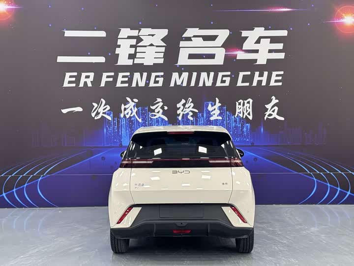 BYD Seagull 2025 2025款 305km 自由版