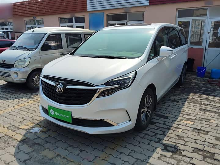Фото 2 - Buick GL8 ES