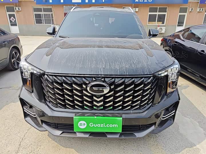 GAC Trumpchi GS8 2022 2022款 领航系列 2.0TGDI 两驱尊享版（七座）