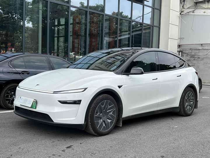 Tesla Model Y 2025 2025款 长续航全轮驱动版