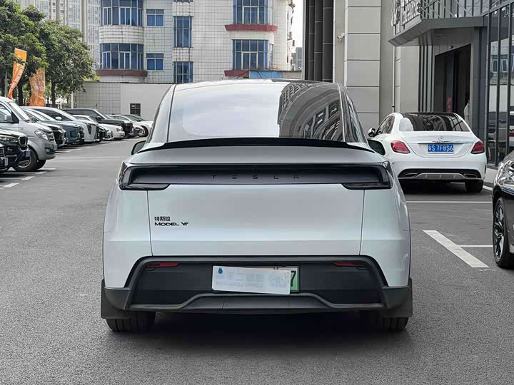 Tesla Model Y 2025 2025款 长续航全轮驱动版