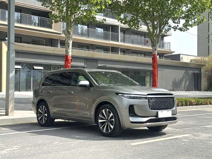 2021 LiXiang One