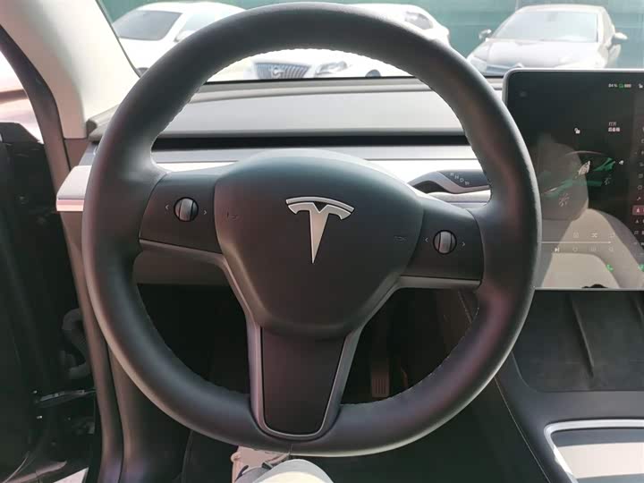 Tesla Model Y 2022 2022款 后轮驱动版