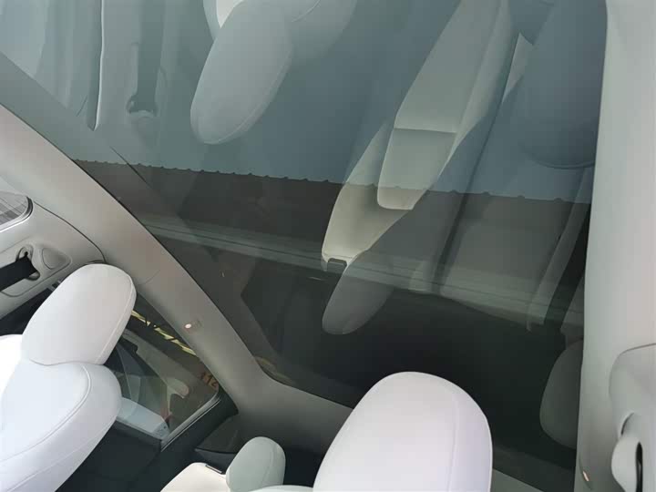 Tesla Model Y 2022 2022款 后轮驱动版